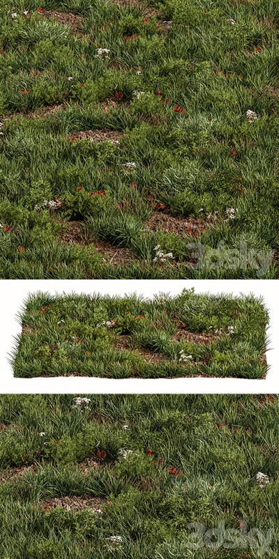 Spring Grass - Grass Set 07